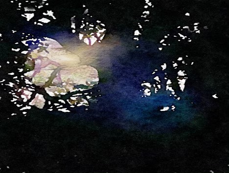 Winter Solstice 2025