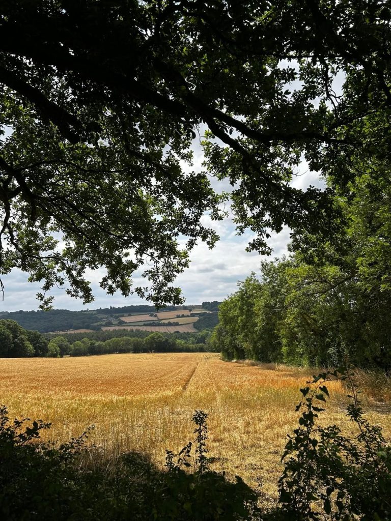 Lammas 2026 Sunday 2nd August 1pm