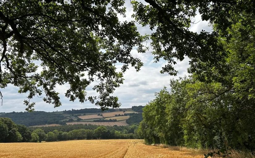 Lammas 2026 Sunday 2nd August 1pm